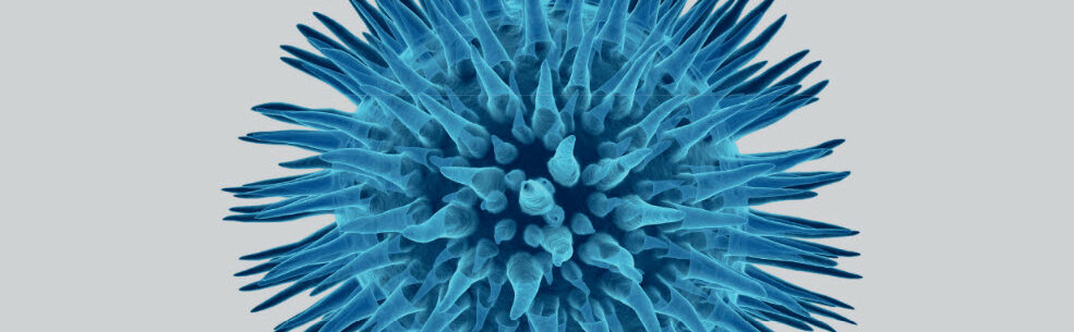 STIKO Impfungen in der Praxis - Dr. Tzimas